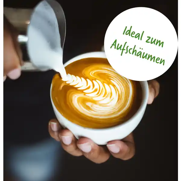 Barista Drink Erbse Naturland