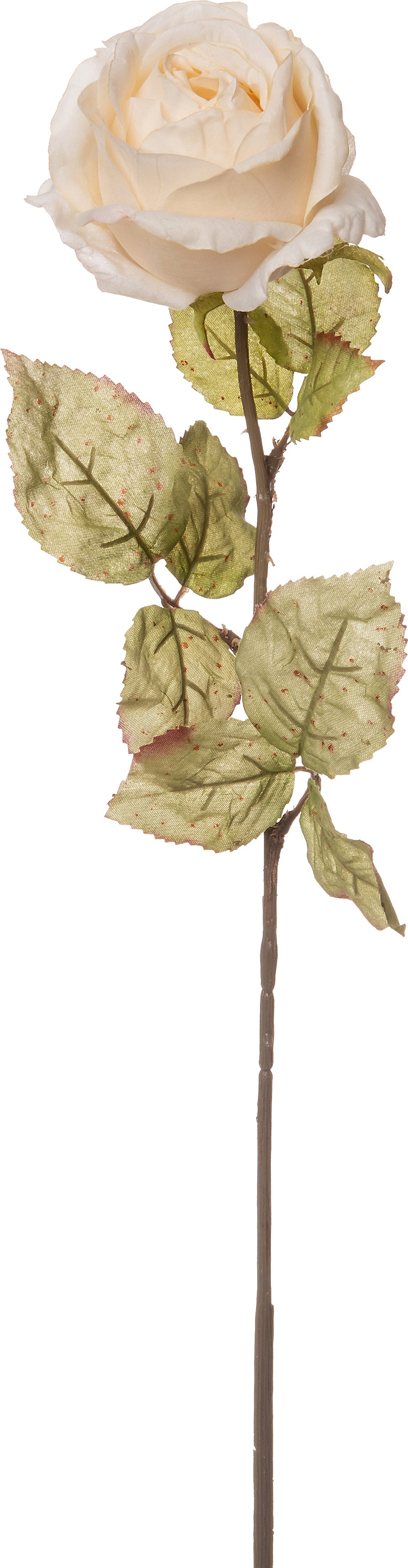 Intratuin kunstbloem roos 62 cm crème
