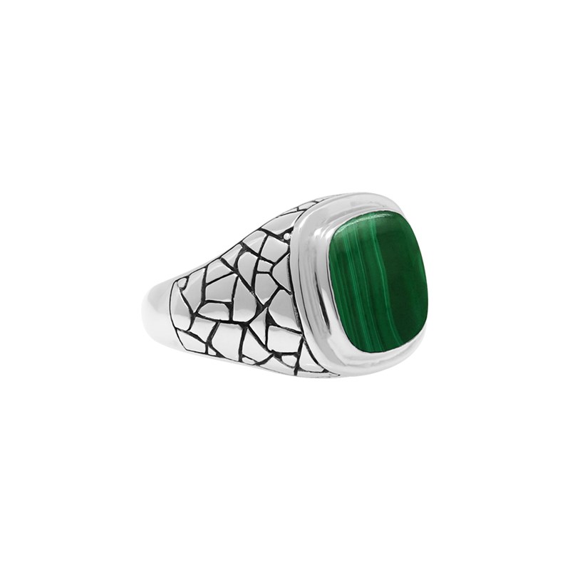 Bague En Argent Homme écaille Pierre Malachite