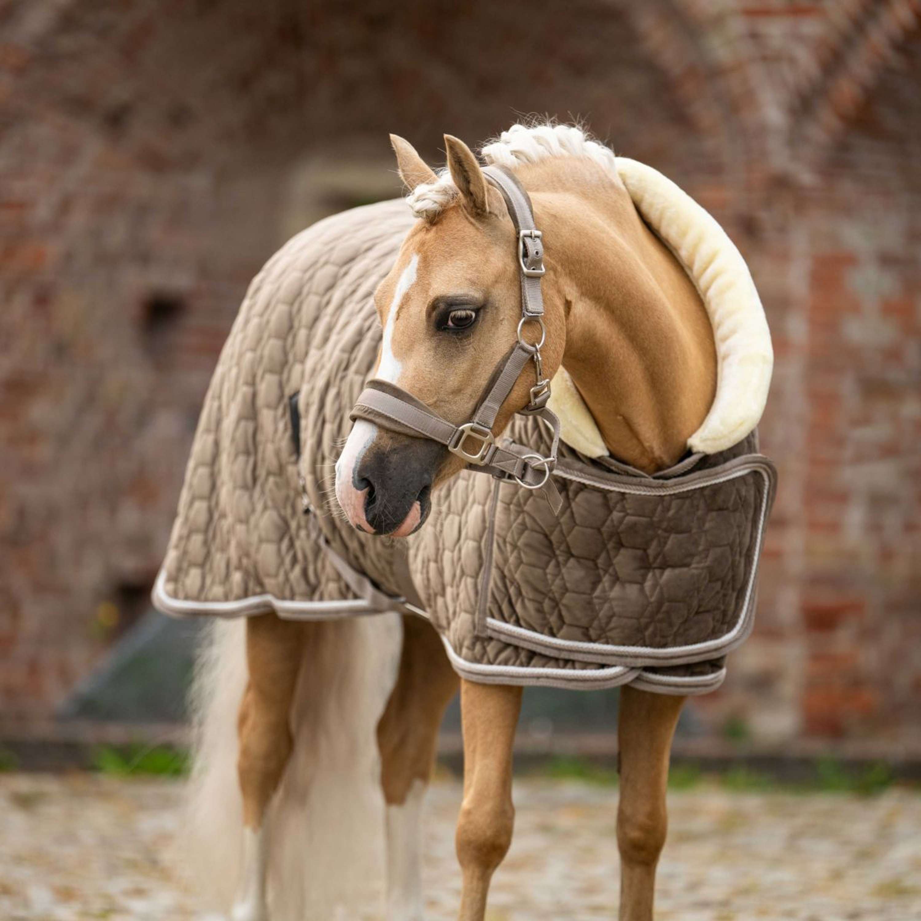 HB Ruitersport Showdeken Special Peach Taupe