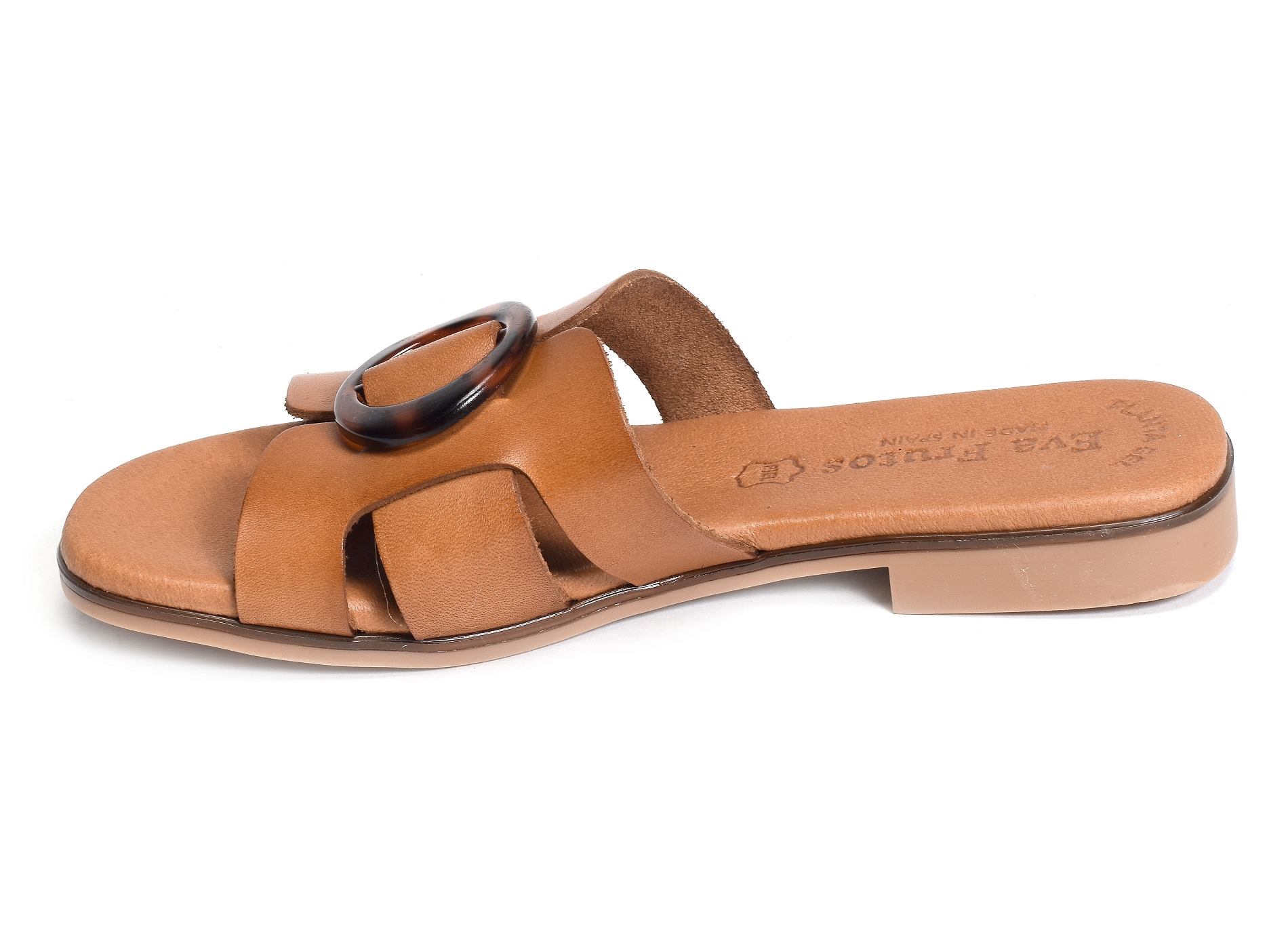 3064 camel