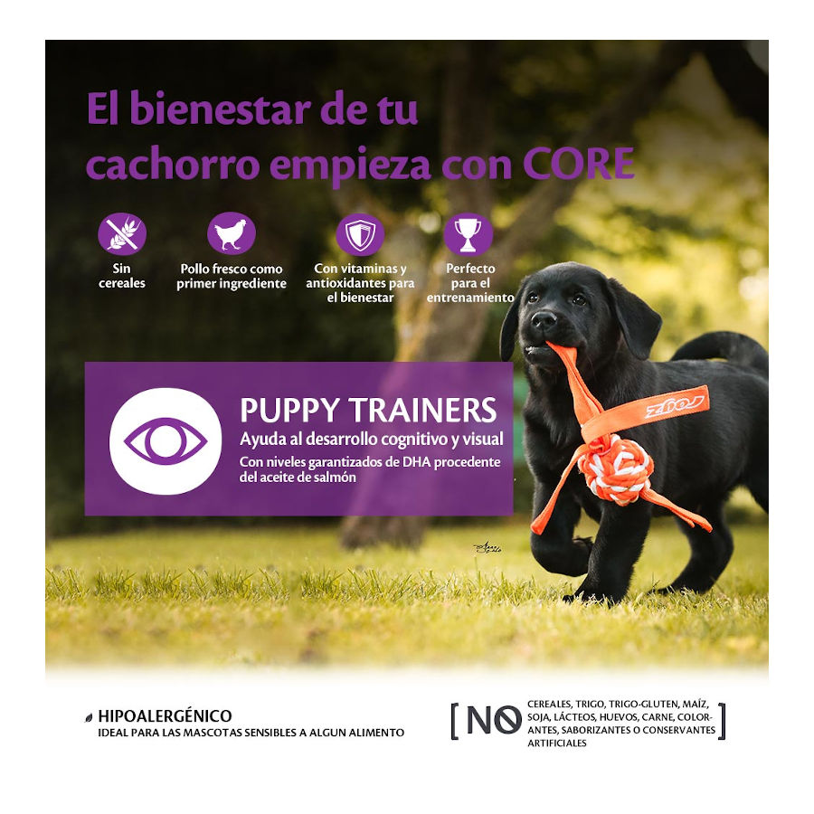 Petiscos Wellness Core Puppy Trainers sabor Frango para Cães, 170g
