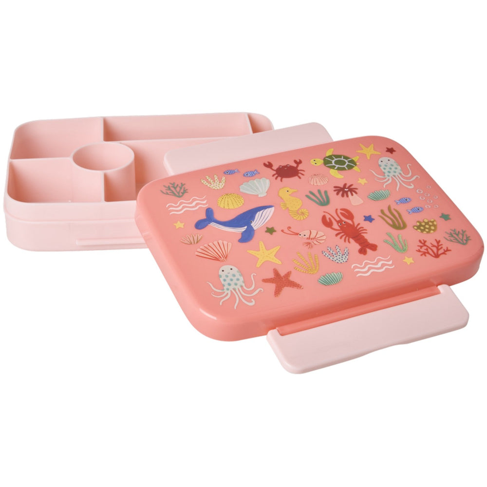 Køb Rice Coral Ocean Print Plastik Madkasse Med 6 Rum