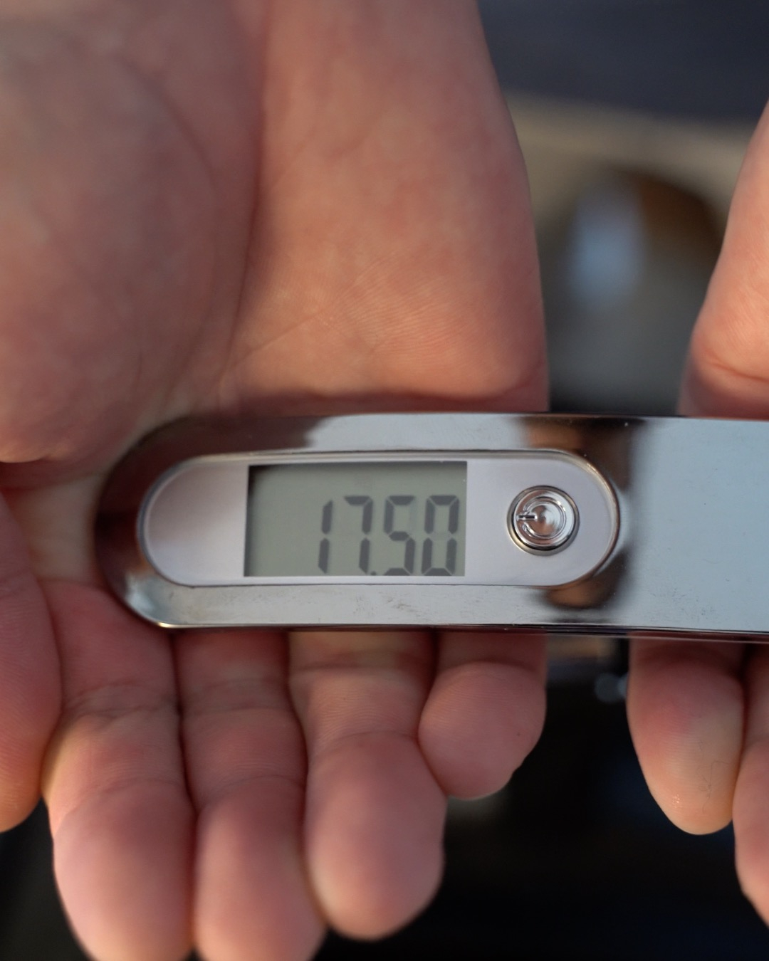 Digitale Reise Kofferwaage Gepäck Handwaage mit LCD-Anzeige (bis 50kg Gewicht) - Silber