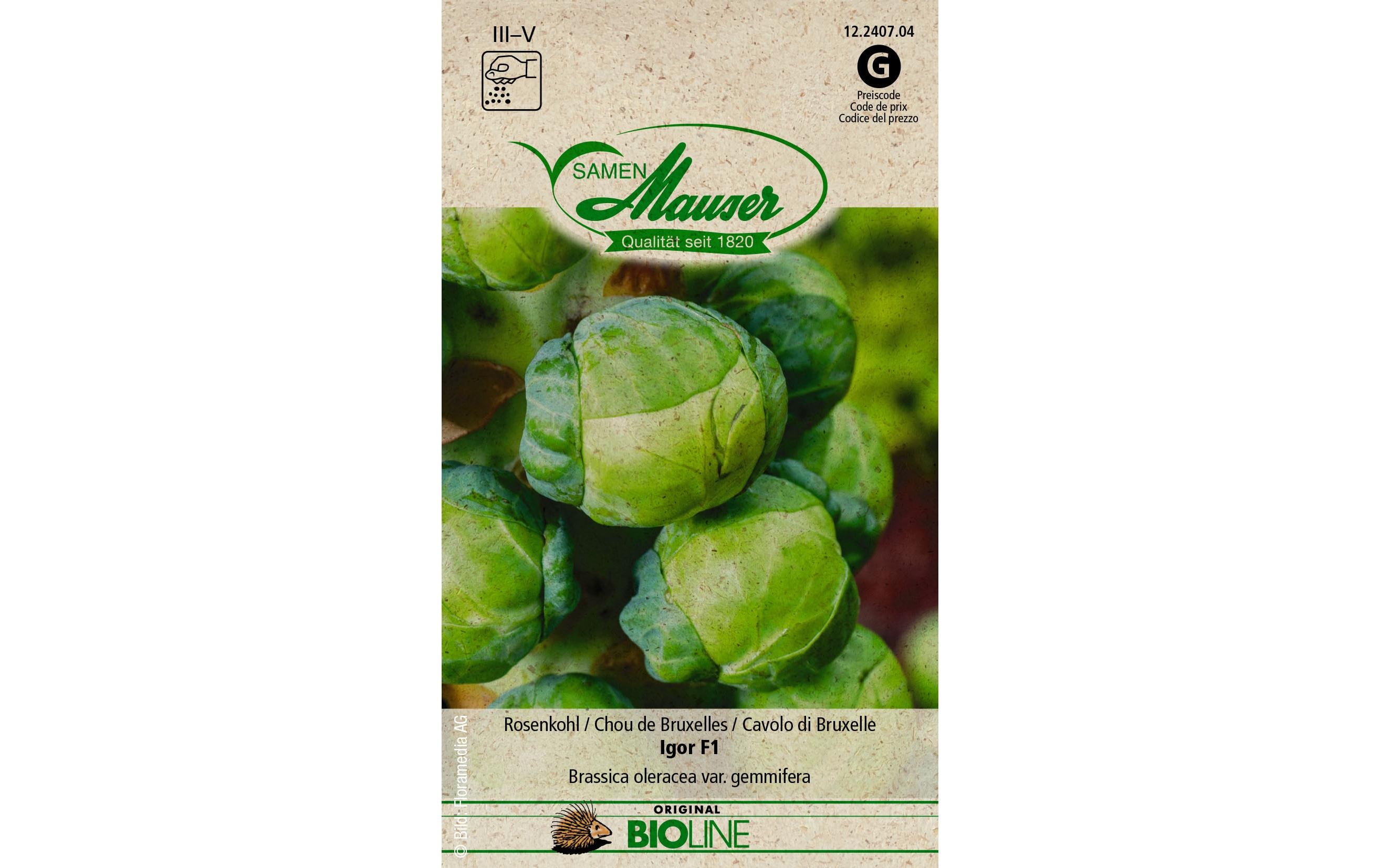 Samen BIO Rosenkohl Igor F1Gemüsesamen