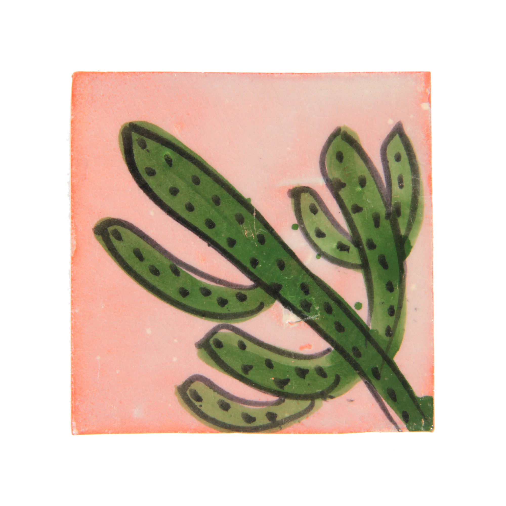 Fliese 'cactus rosé', rosa-grün, L 10 cm, B 10 cm, H 1 cm von fischer's lagerhaus