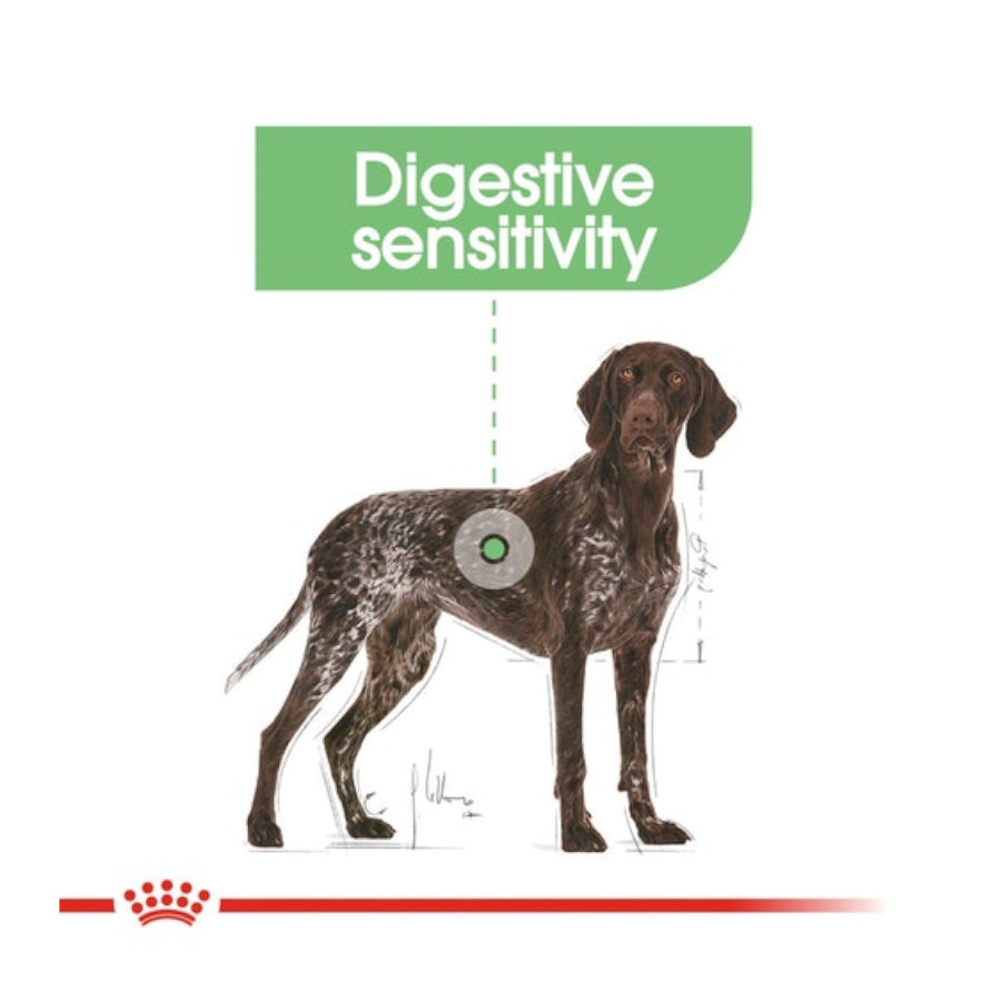 Ração Royal Canin Digestive Care Maxi para cães