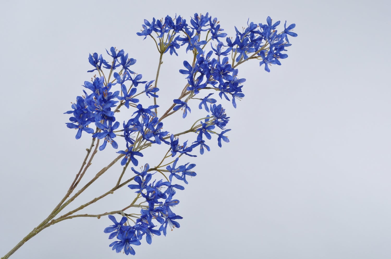 Silk-ka kunstbloem Campanula donkerblauw 113 cm