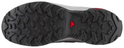 SalomonStoren GTX - grau