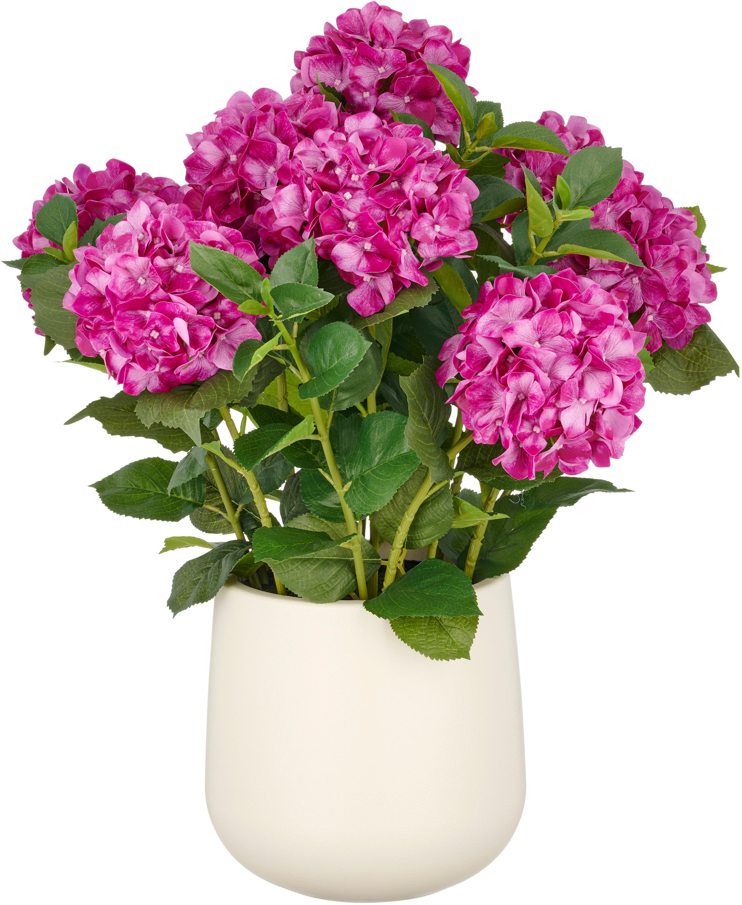 Creativ green Kunstpflanze »Hortensie« im eleganten Topf