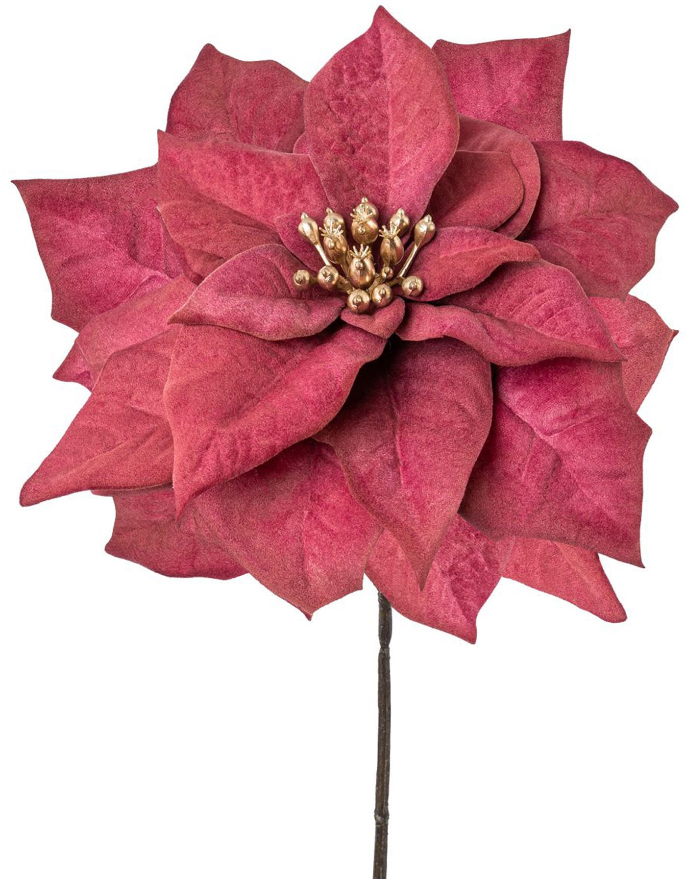 Creativ green Winterliche Kunstpflanze »Weihnachtsdeko rot« mit goldfarbenfarbenem Blütenkelch, 6er-Set