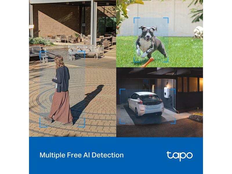 TP-Link Netzwerkkamera Tapo C520WS Schwenk-/Neige-Sicherheits-Wi-Fi-Kamera für den Aussenbereich