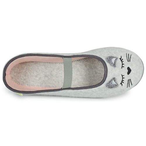 Citrouille et Compagnie - PASTALDENTE - Gris