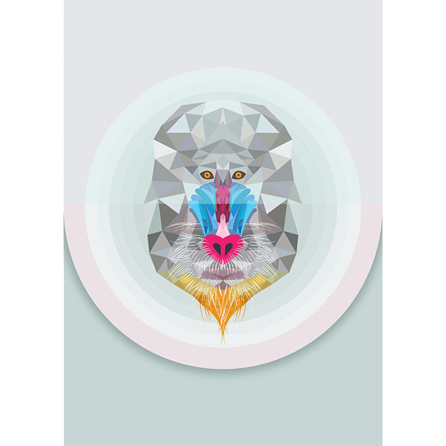 Wandbild BABOON - bunt - 50x70 cm