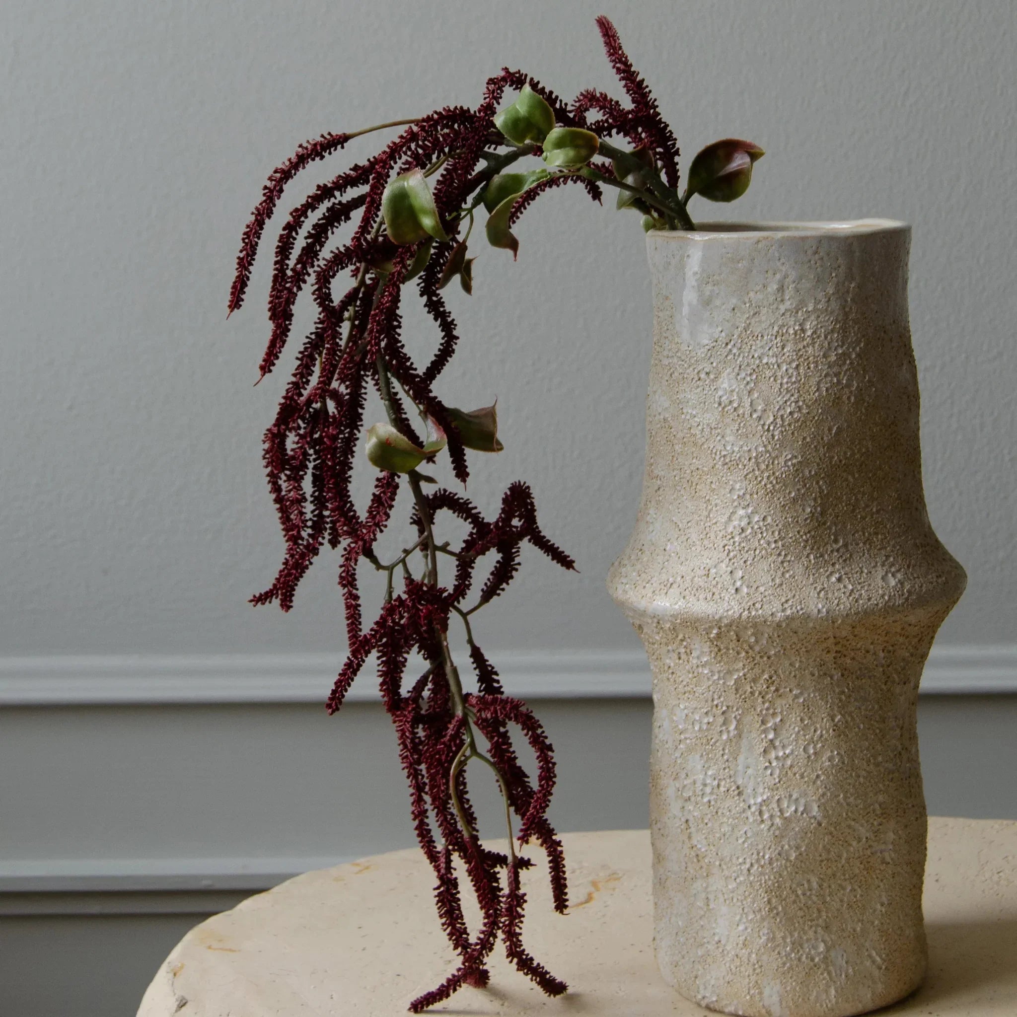 Botané  Amaranthus Cruentus blomst - mørkerød