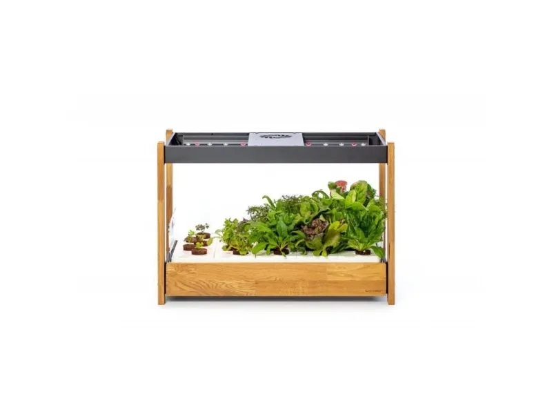 Click and Grow 25 - Black (Salad Greens 54x pack)