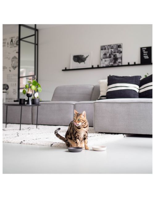 District 70 Katten Voerbak Bamboe Ø12 cm - Kattenvoerbak