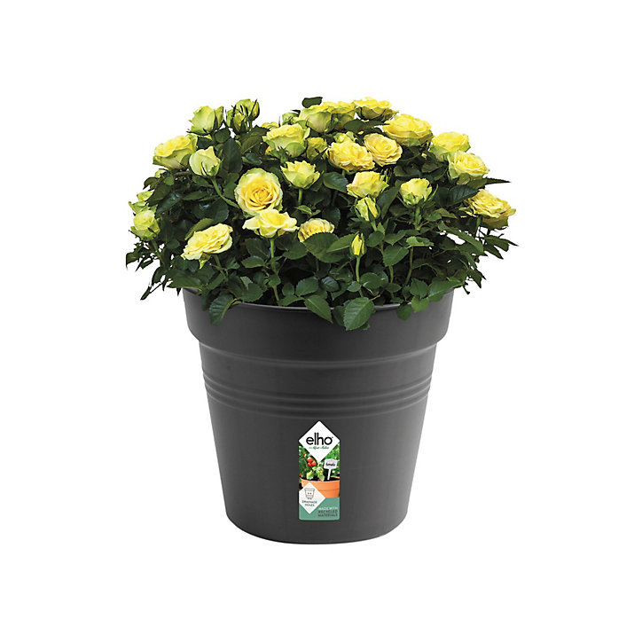 Pot de culture Green basics 40 cm living noir