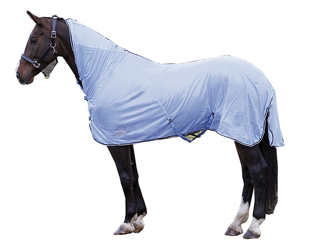 Harry`s Horse Fliegendecke