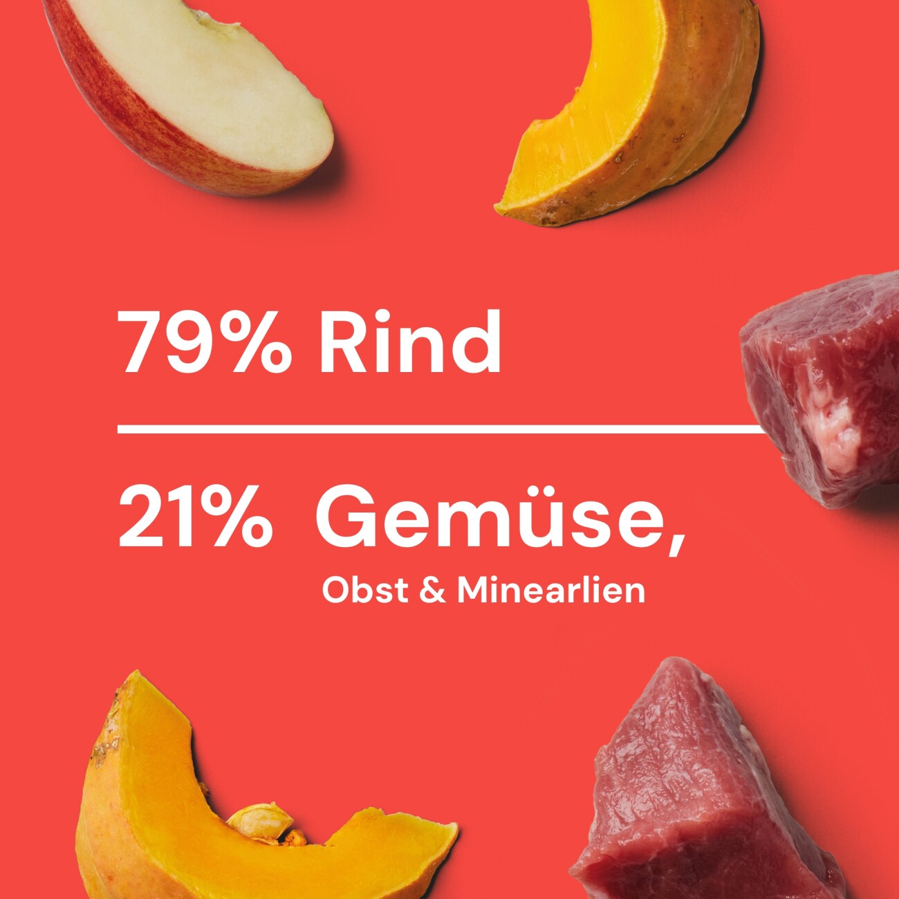 Nutriment Komfort-BARF Menü Rind, Kürbis & Chicorée 6x1 kg