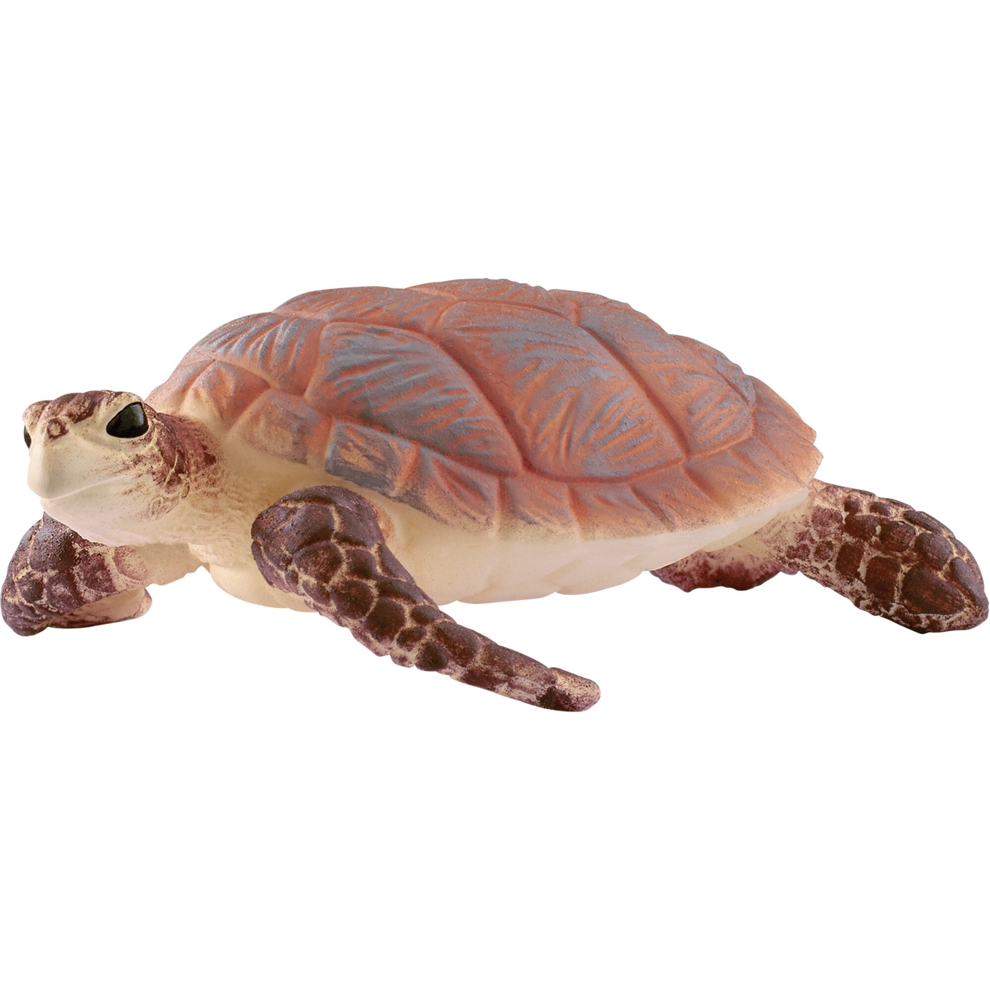 Schleich Spielfigur Wild Life Echte Karettschildkröte