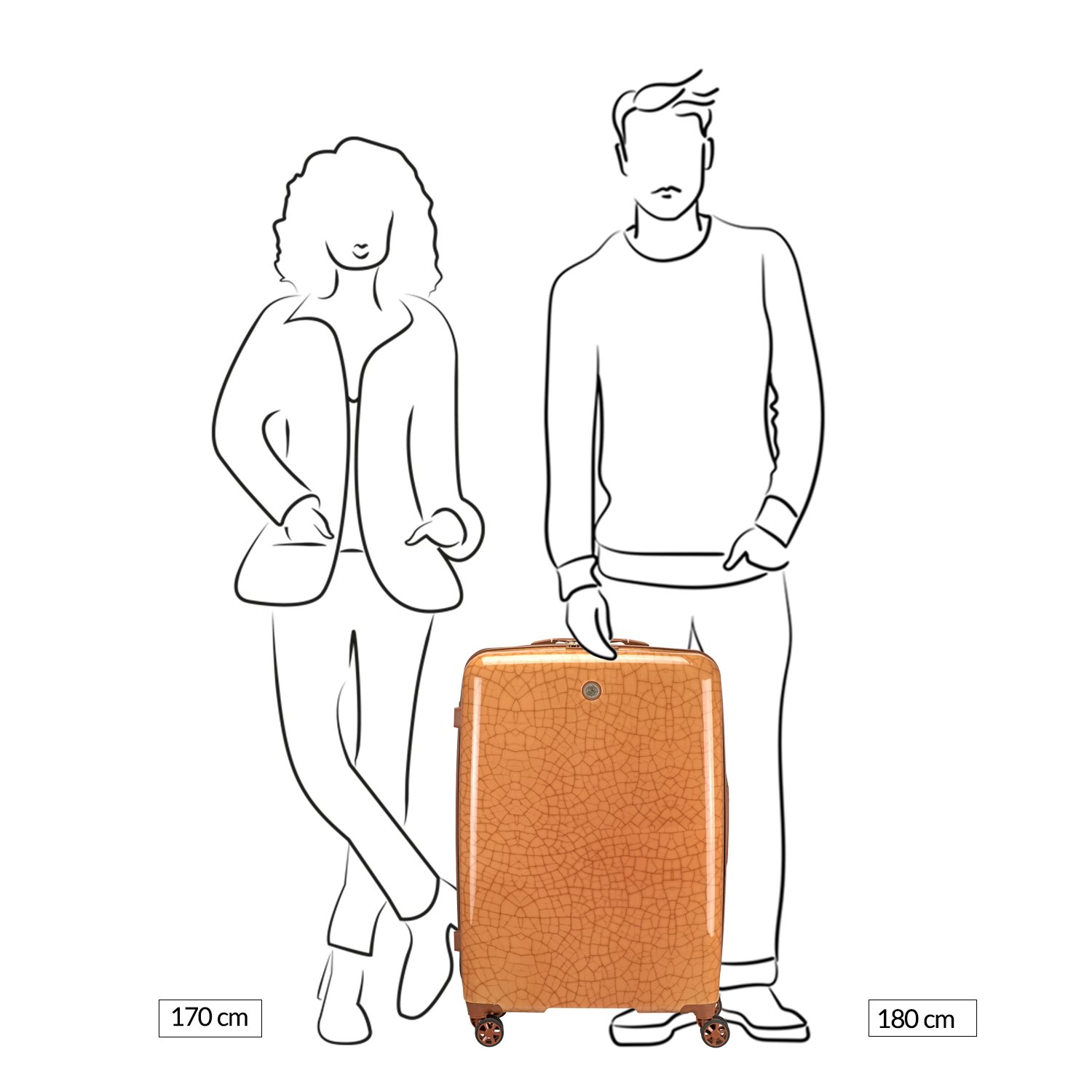 Le Sudcase Craquele Large Trolley terra
