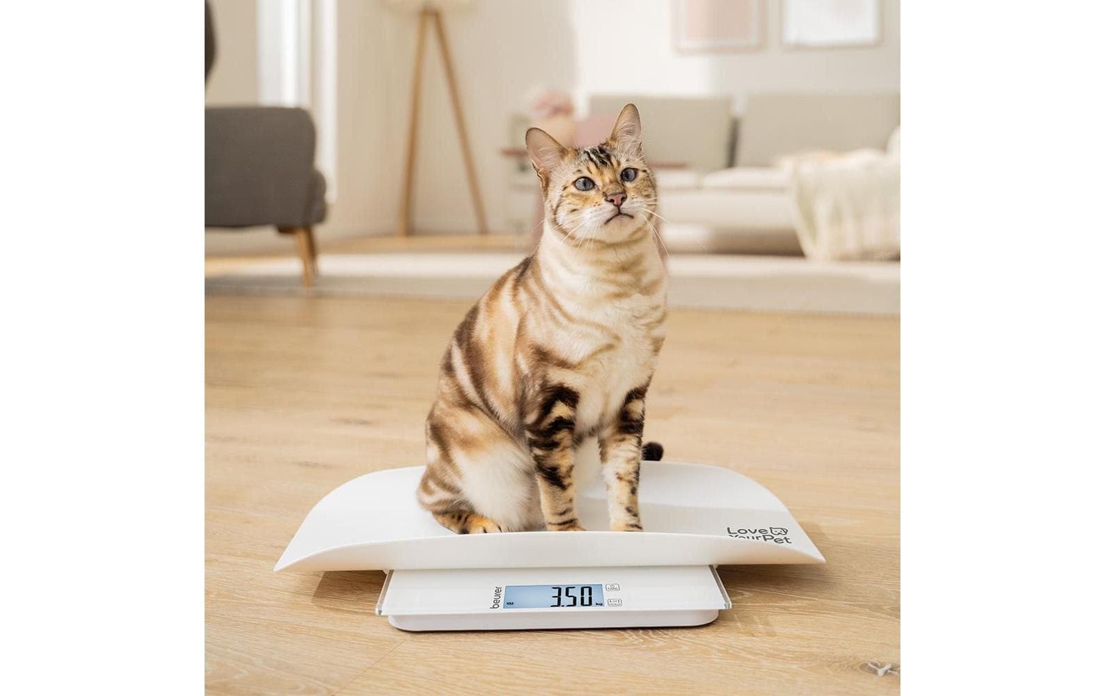 Personenwaage »Love Your Pet by Beurer Multifunktions-Haustierwaage Polly«