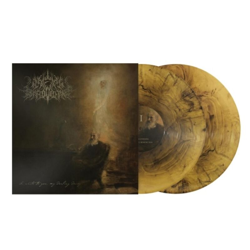 I Write To You, My Darling Decay | A Wake in Providence LP