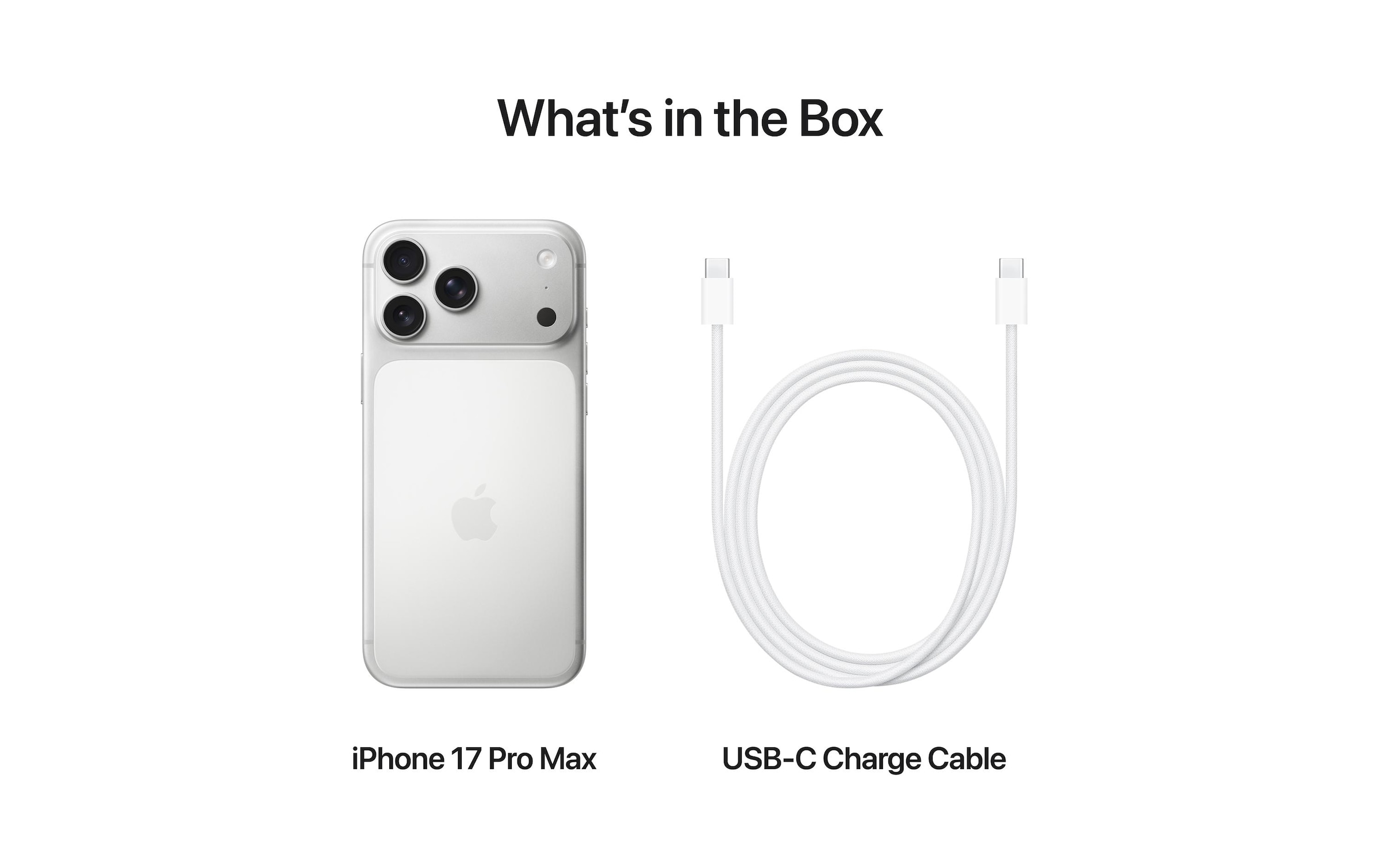Apple Smartphone »iPhone 17 Pro Max« Silberfarben Induktionsladung