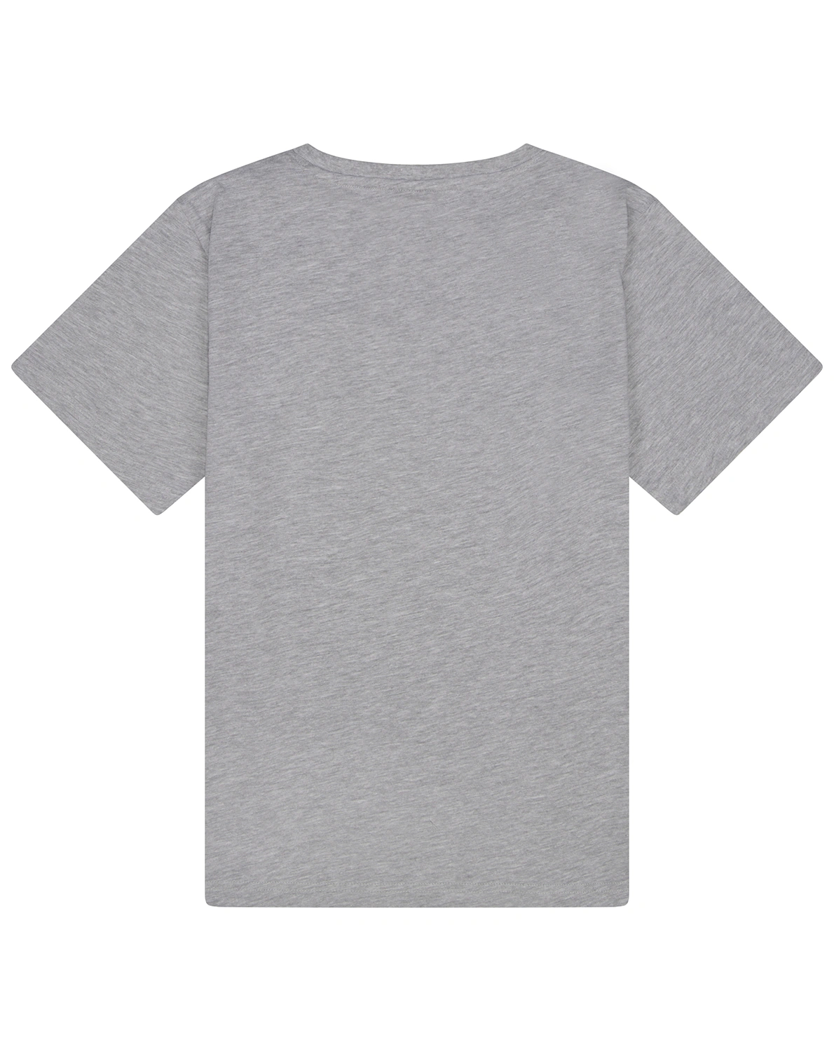 T-Shirt JURASSIC WORLD DOMINION in grey