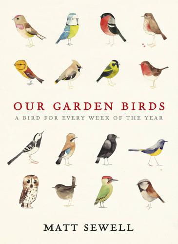 Our Garden Birds: a stunning illustrated guide to the birdlife of the British Isles (Hardback)