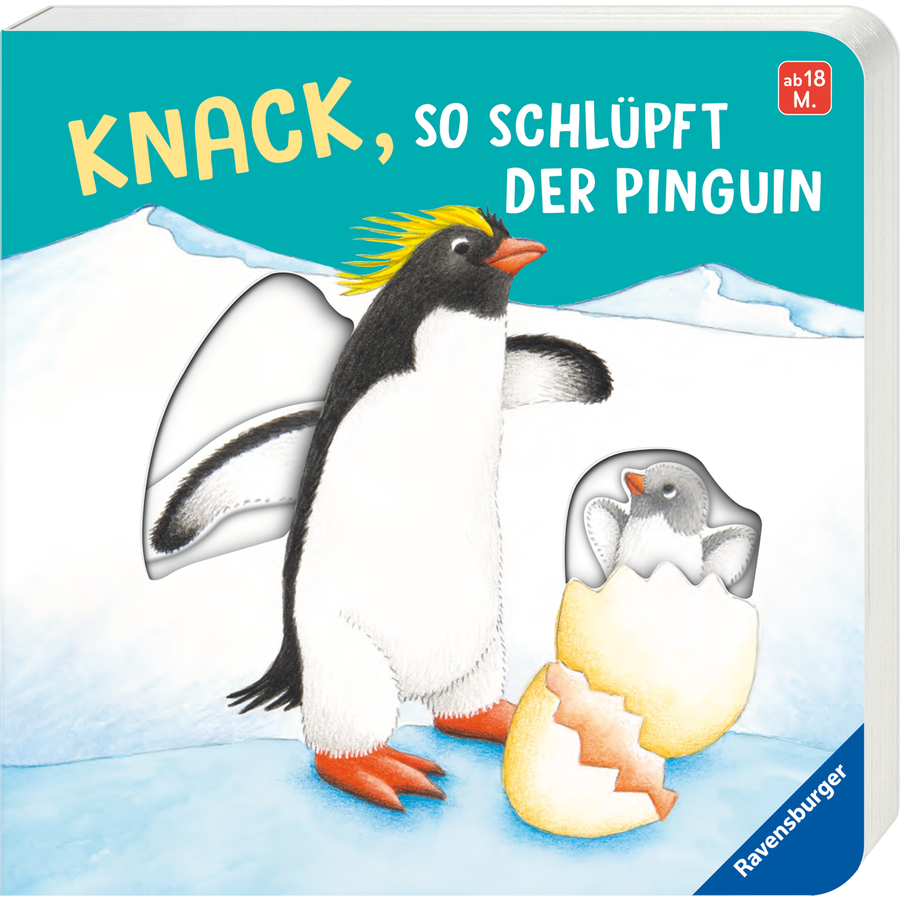 Ravensburger Knack, so schlüpft der Pinguin