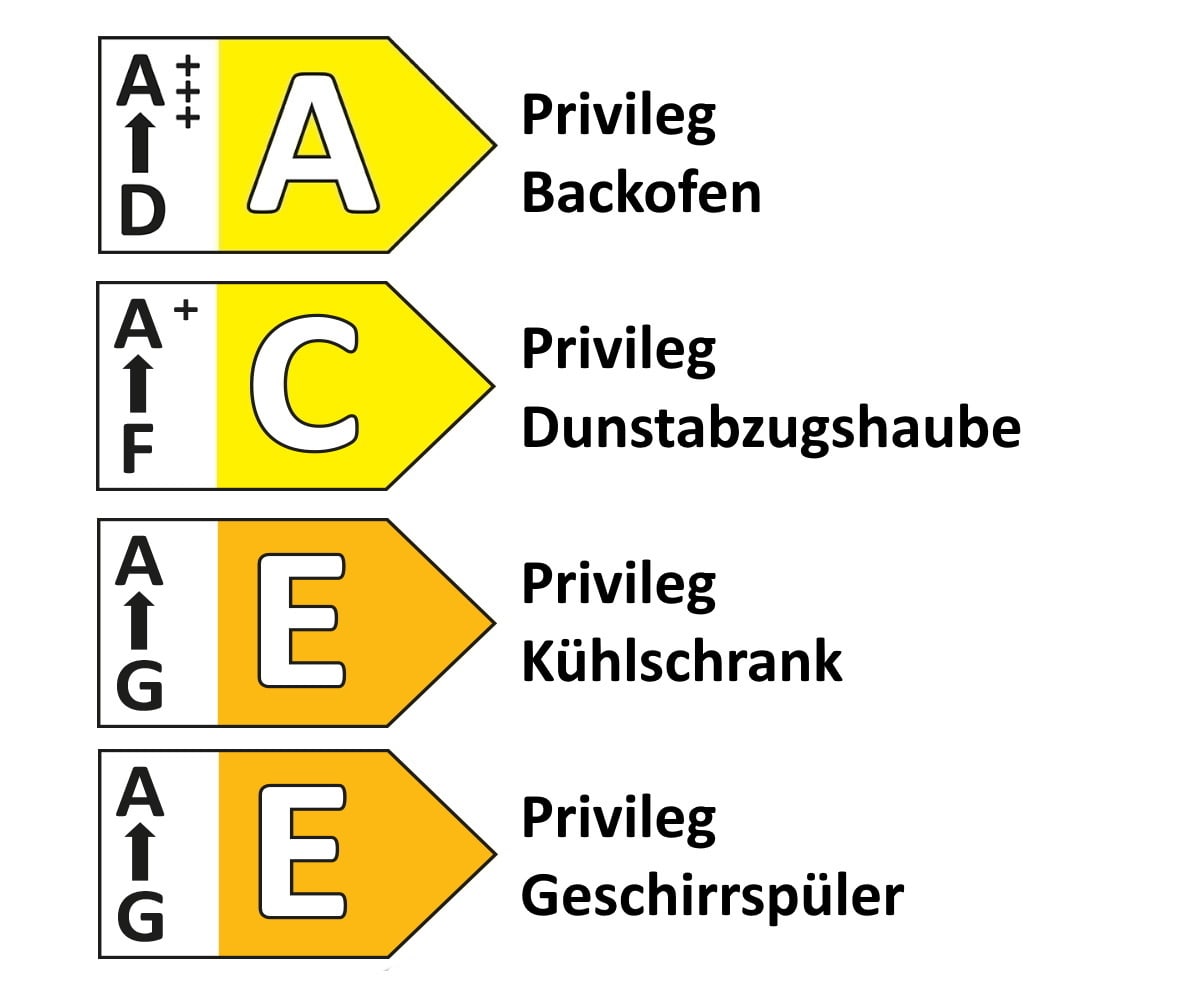 Einbauküche Lenzen/Rosian, seidengrau/Eiche Bergamo Nachbildung, inkl. Privileg Elektrogeräte