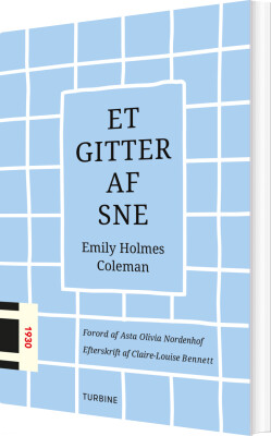 Et Gitter Af Sne - Emily Holmes Coleman - Bog