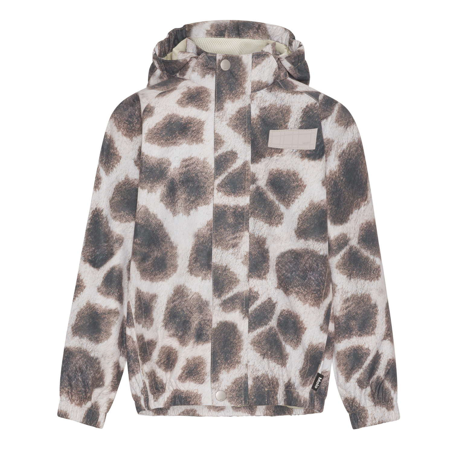 Waiton - Giraffe