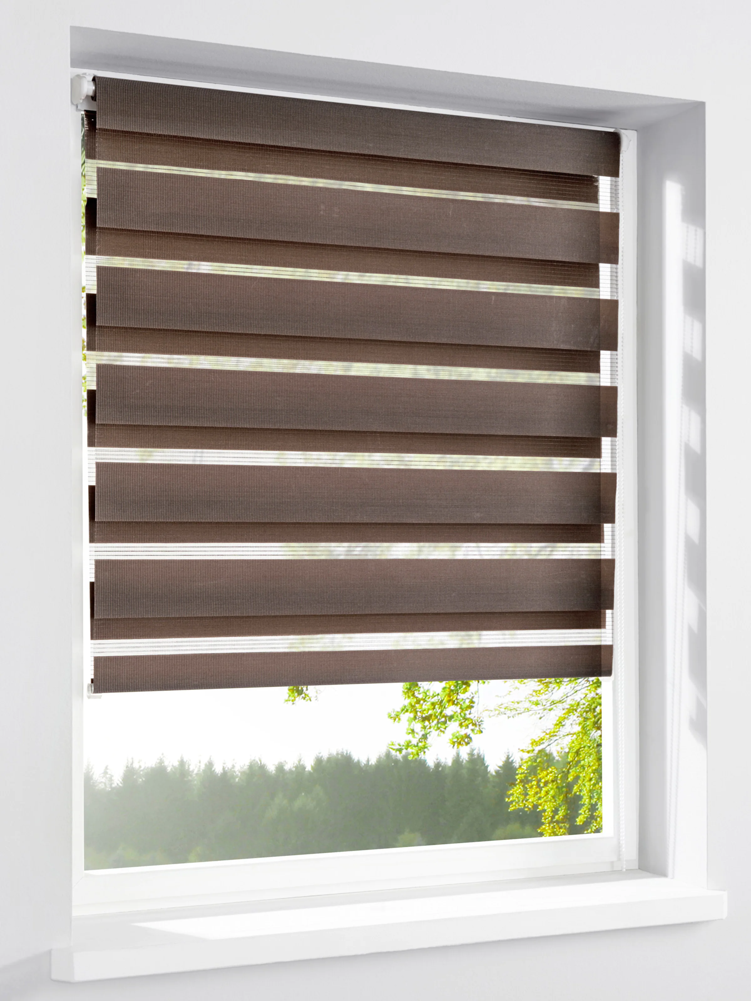 heine home Doppelrollo in braun