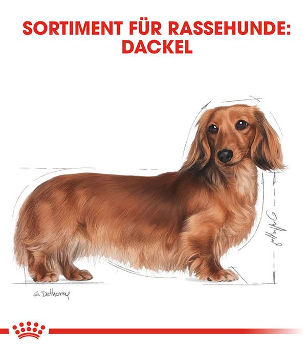 ROYAL CANIN® Trockenfutter für Hunde