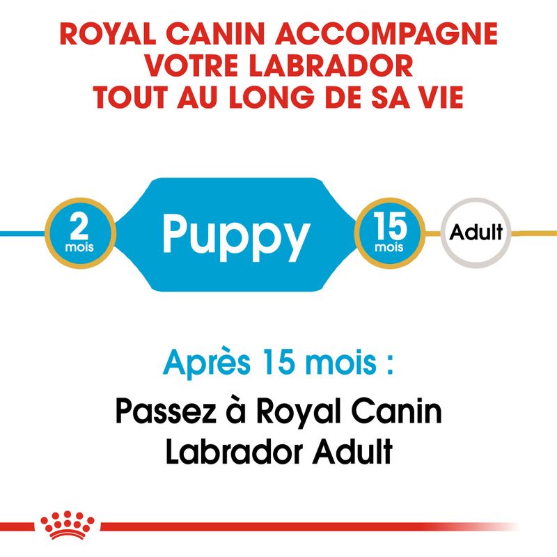 Royal Canin Labrador Retriever Puppy sur bitiba.fr