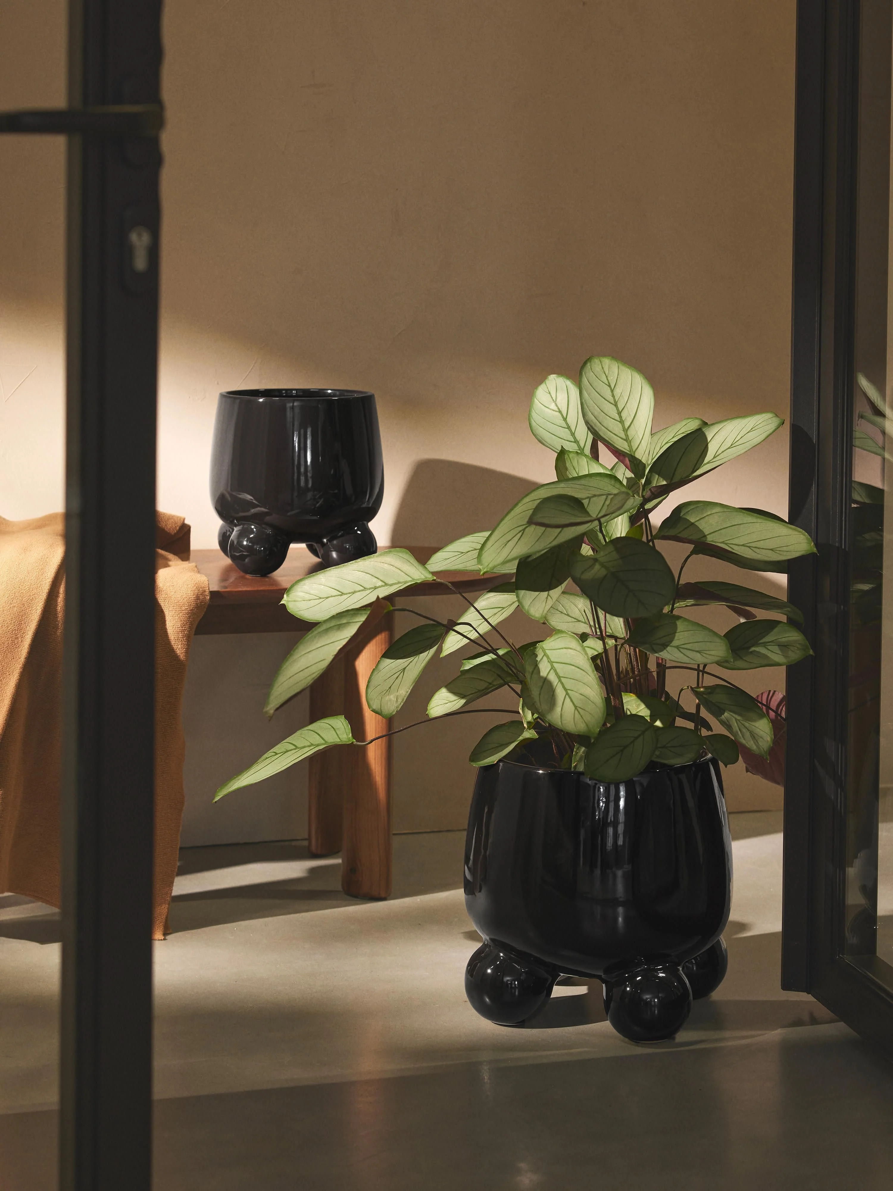 Plantenpot Olea, H 26 cm
