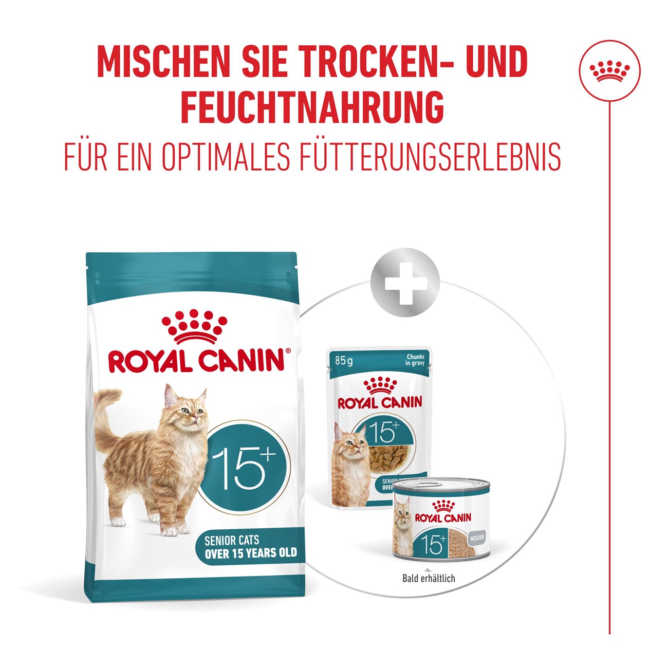 ROYAL CANIN Trockenfutter Katze, Senior, Ageing 15+ 400 g