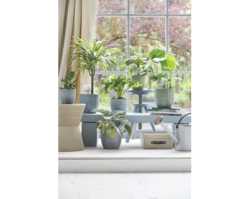 Soendgen keramiek x 8,5 x 19 cm groen