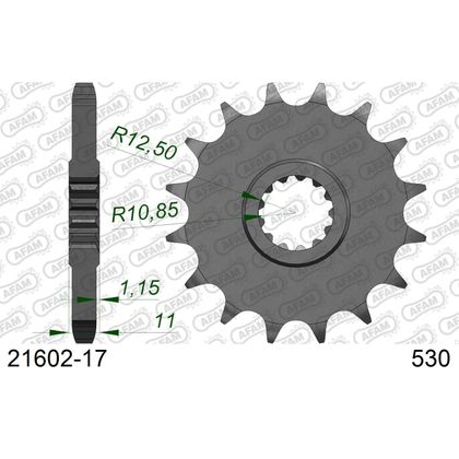 Kit chaine AFAM 530 Type Acier Premium avec pignon silencieux
