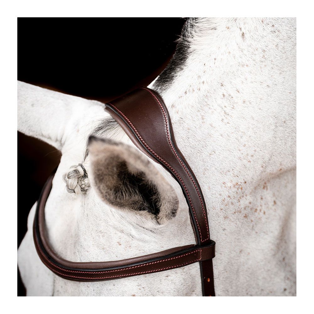 Horseware MICKLEM 2 COMPETITION - Bridon havana