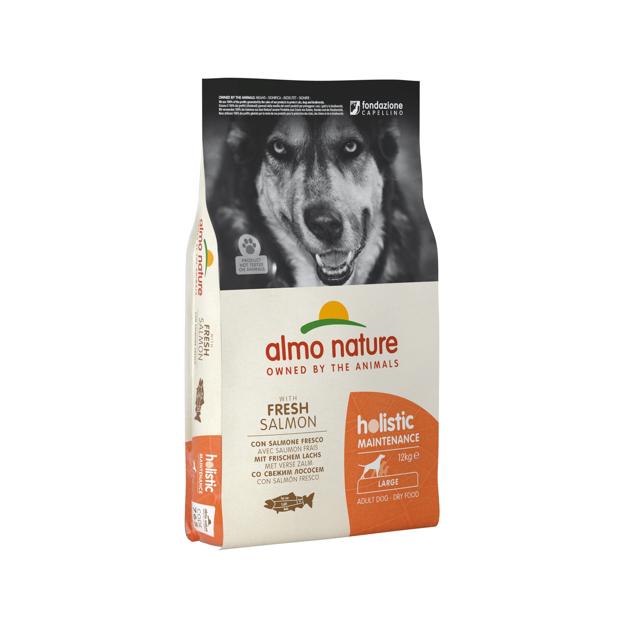 Almo Nature Holistic Maintenance Hondenvoer - Zalm