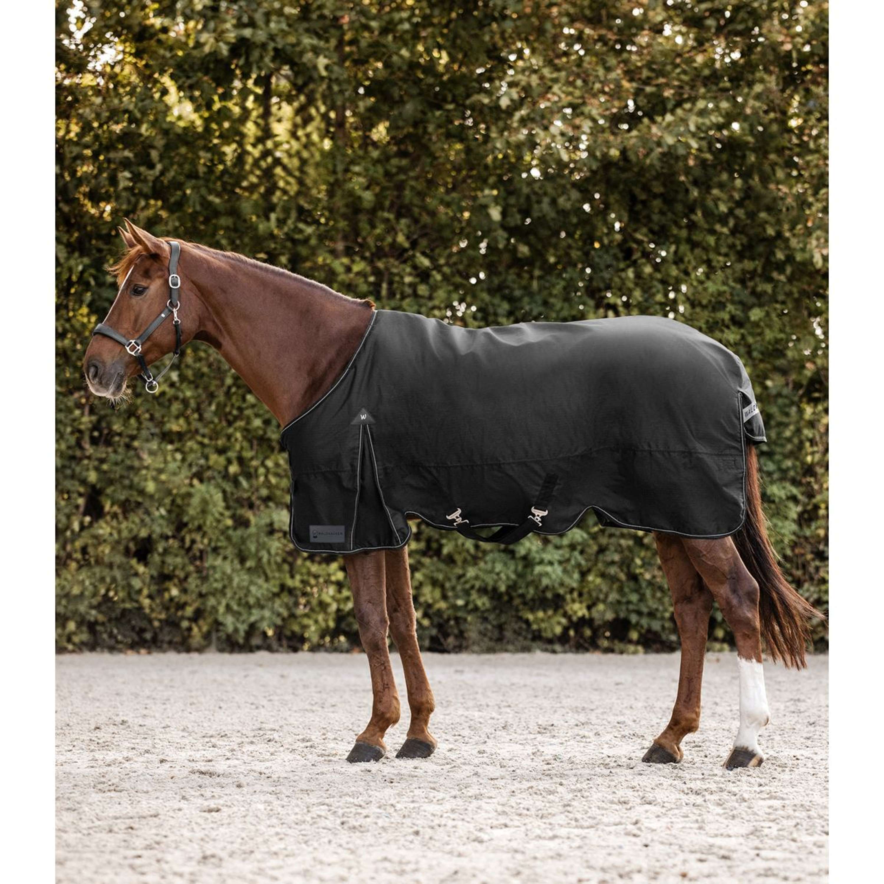 Waldhausen Outdoordeken Arctic 50g Zwart