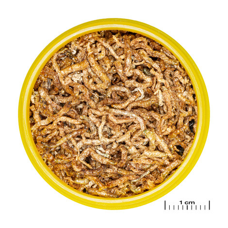 JBL Pronovo Snack Mix 4x100ml | Aquariumvoer