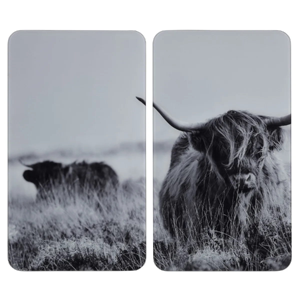 WENKO Plaques de protection Highland Cattle