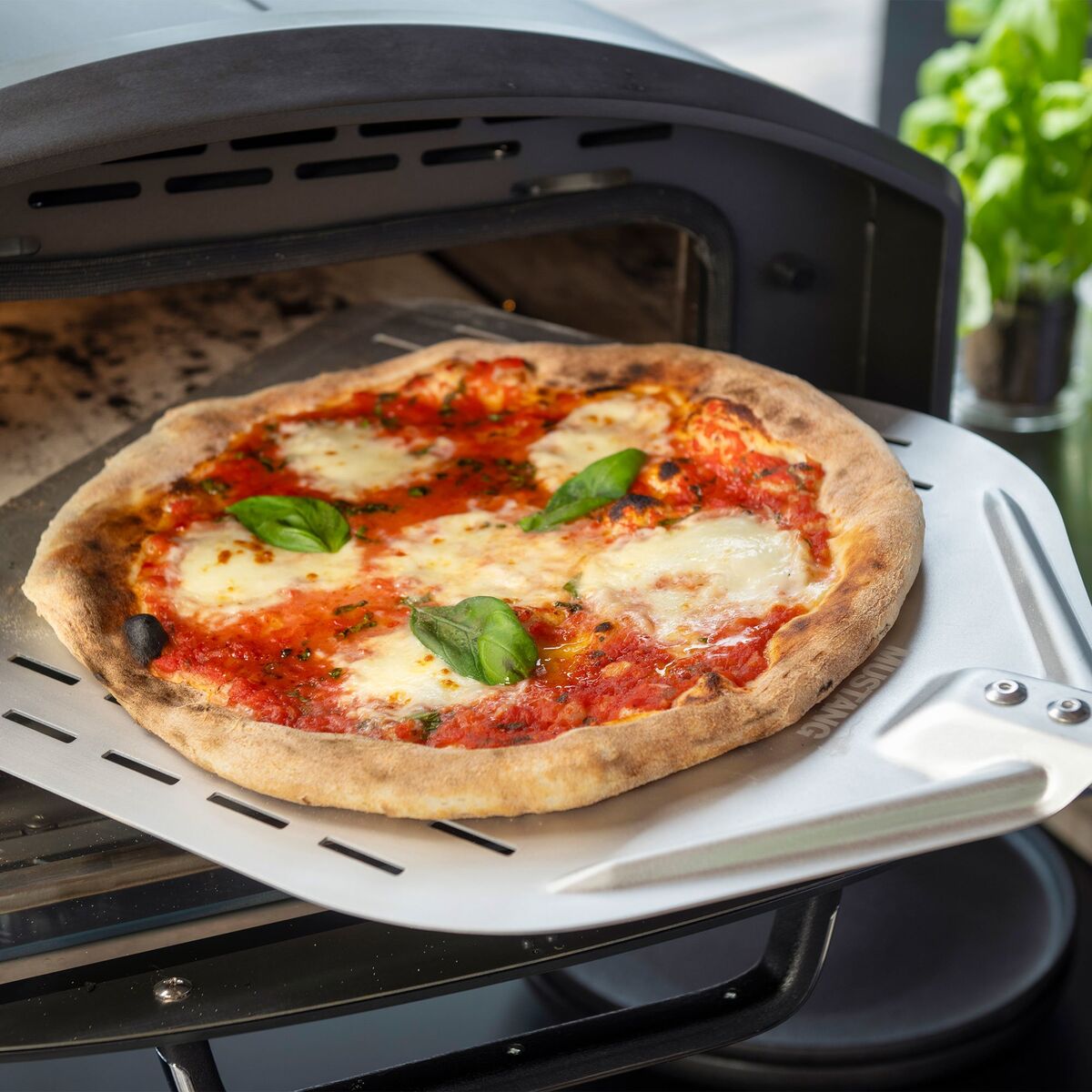 Astroni 14 pizza-/multifunksjonsovn
