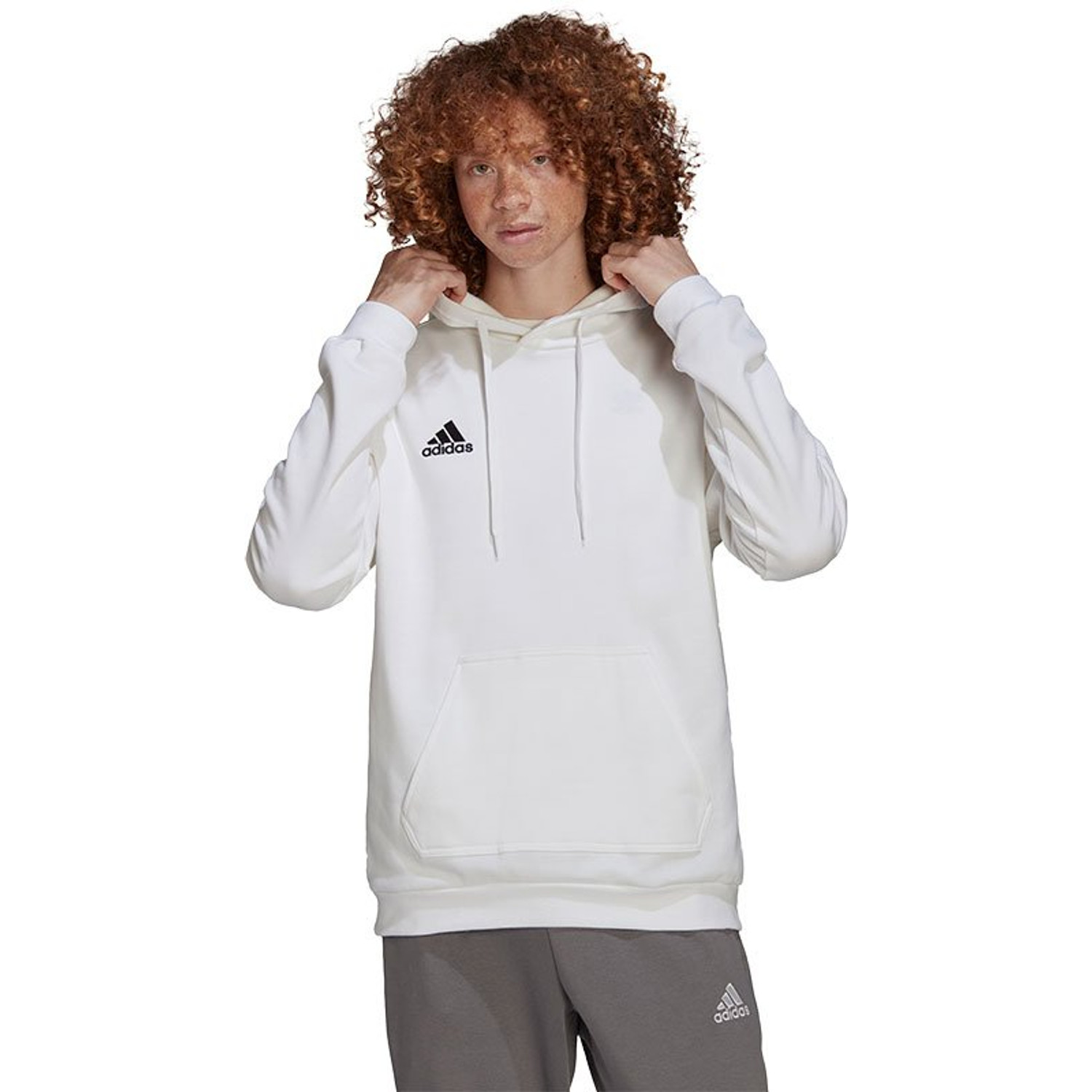 adidas Entrada 22 Hooded Sweat Trainingspak