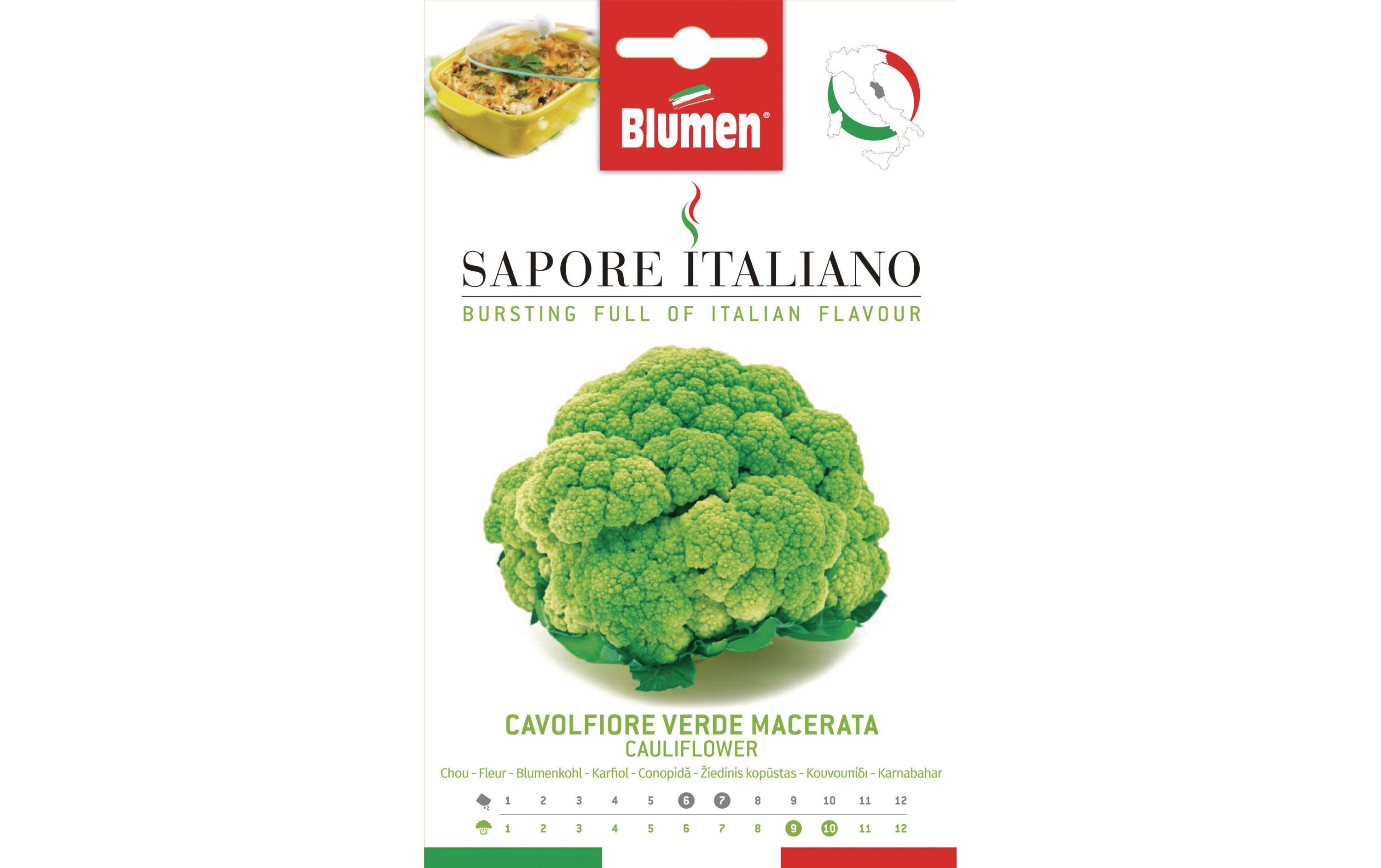 Samen Blumenkohl Verde MacerataGemüsesamen